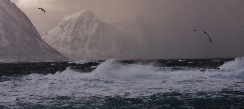 Stormfullt hav med fjell i bakgrunnen på Senja