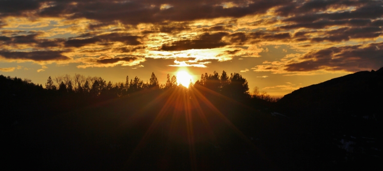 Solnedgang over Senja med solstråler gjennom trærne